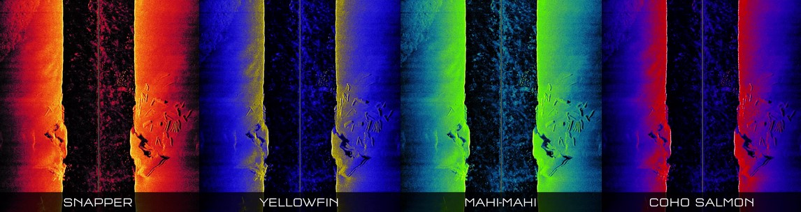 RealVision MAX Color Palettes