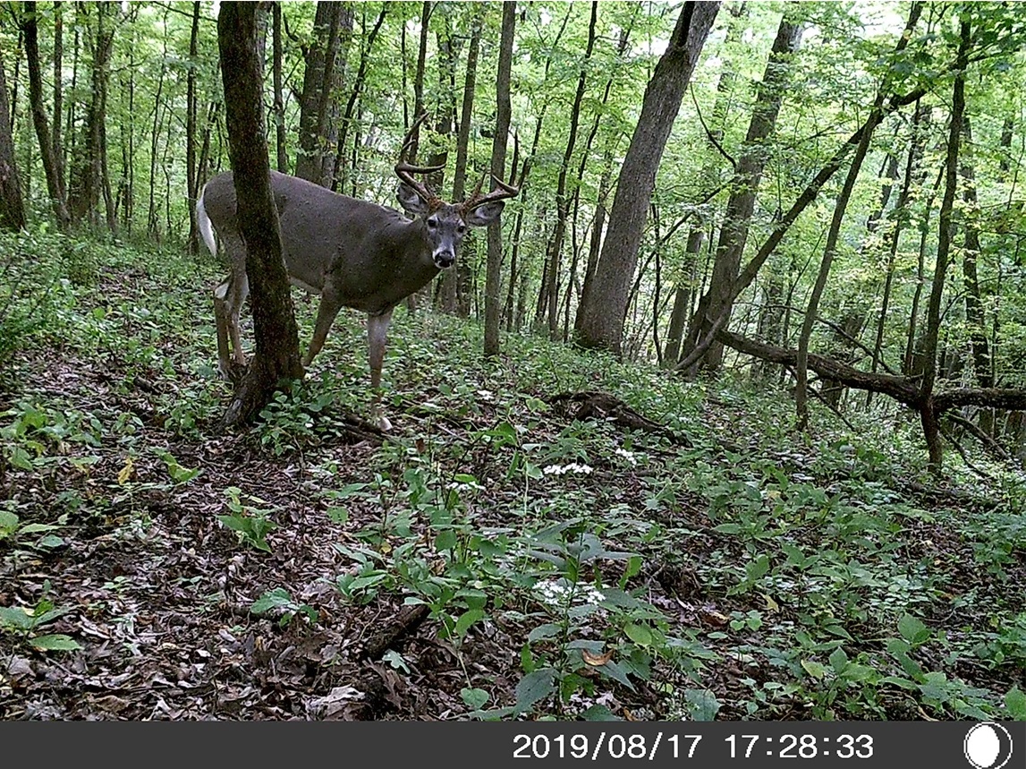image10