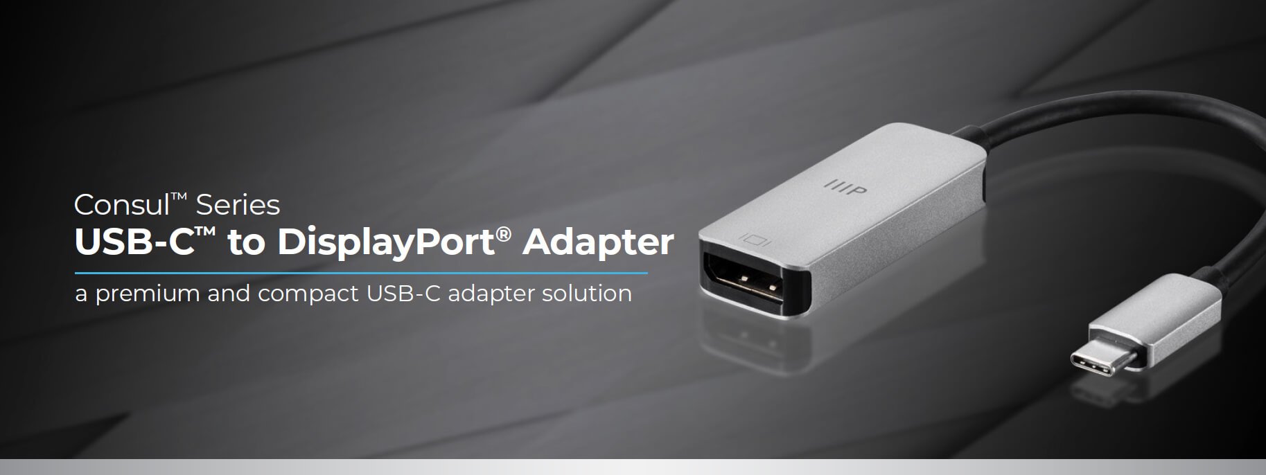 USB-C to Display Port Adapter