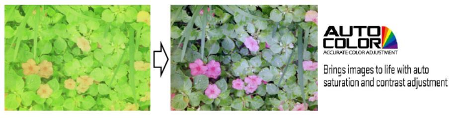 image56