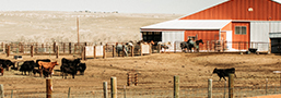 Farm & Ranch Department