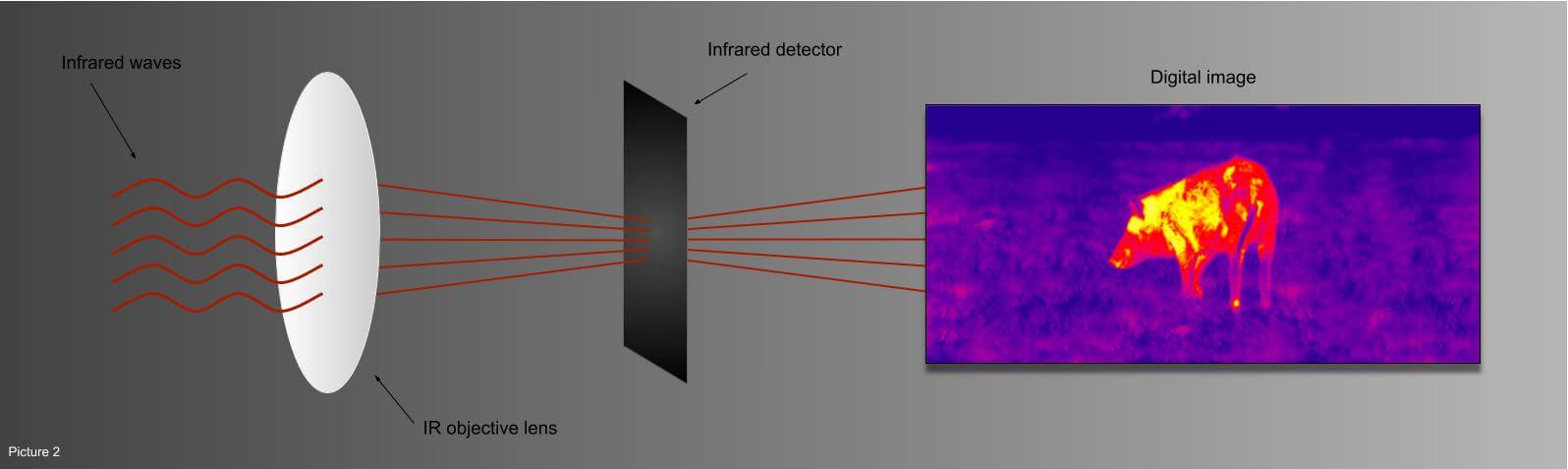 The difference between thermal imager and night vision