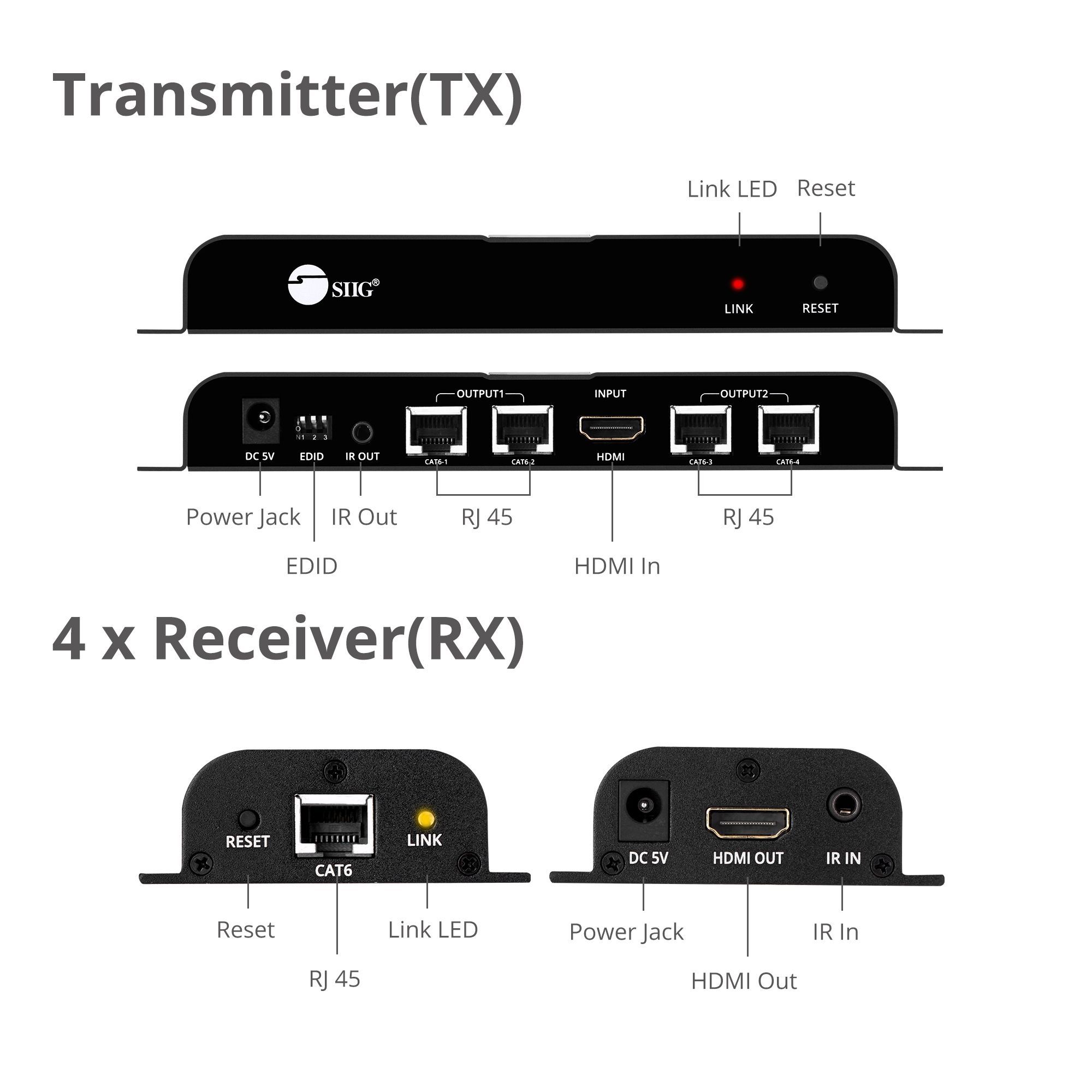 Transmitter and Receiver layout