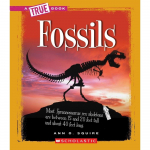 Deluxe 48-Page Full Color Book, Fossils