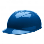 Bump Cap, Kentucky Blue Shell, Vinyl Brow Pad, One Size