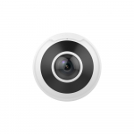 4K Vandal-Resistant Fisheye Camera_noscript