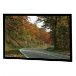 Fixed Frame Projection Screen (69 x 110")_noscript