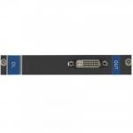 1-Channel DVI Dual-Link Output Card_noscript