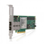 Ethernet Adapter Cards, 25GbE, Dual-Port_noscript