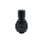 1/2" 144 Relieving Regulator 5-150 PSI_noscript