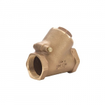 2" Y-Pattern Swing Check Valve_noscript