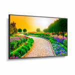 Ultra High Definition Professional Display 43" IPS 60 Hz