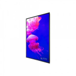 URX100 100" 4K LCD Display_noscript