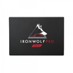 IronWolf Pro 125 Solid State Drive, 480GB