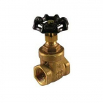 2" IPS Gate Valve, Brass_noscript