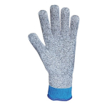Glove Antimicrobial LN-10, Large_noscript
