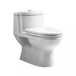Magic Flush Toilet with Dual Flush