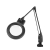 Dazor, L1409-11-BK