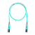 Additional image #1 for Panduit FX2ERLNLNSNM005