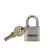 Trimax Locks, TPAL30