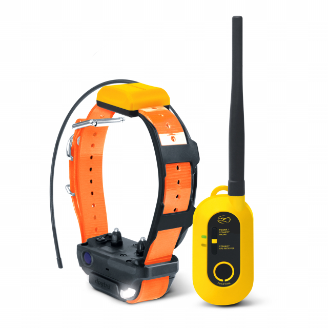 Buy Dogtra PATHFINDER2, GPS Dog Tracking and Training System Prime Buy