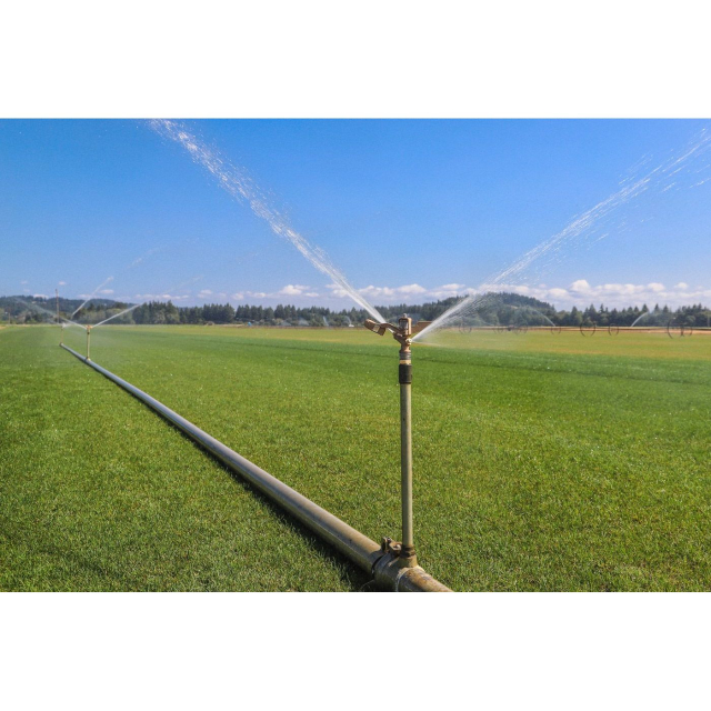 Buy IrrigationKing RK-32, 3/4 Economy Brass Impact Sprinkler, 27 Degree -  Prime Buy